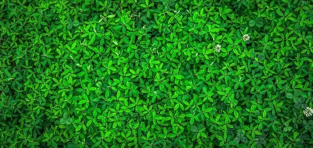 Latest Eco-Friendly Home Gadgets Buying Guide